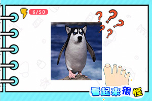 leyu乐鱼体育登录截图